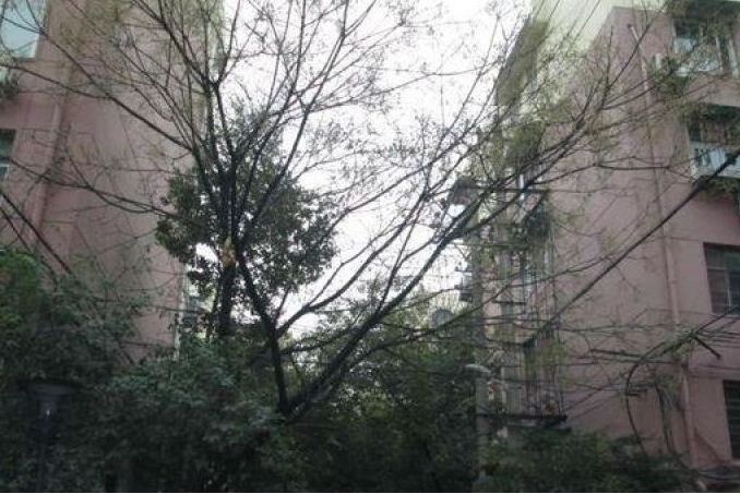 民主后街 民主后街