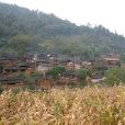 卡柱村(雲南省祿勸縣九龍鄉下轄村) 卡柱村(雲南省祿勸縣九龍鄉下轄村)