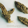 普格烏頭 普格烏頭