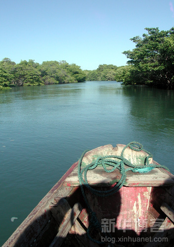 亞馬遜河