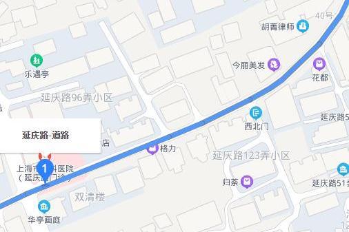 延慶路(中國上海市徐匯區延慶路) 延慶路(中國上海市徐匯區延慶路)