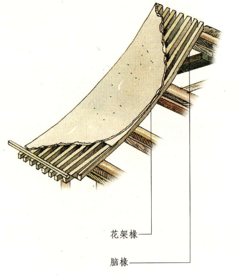 腦櫞 腦櫞
