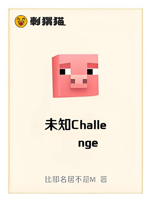 未知Challenge 未知Challenge