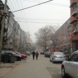 西羅圈 西羅圈