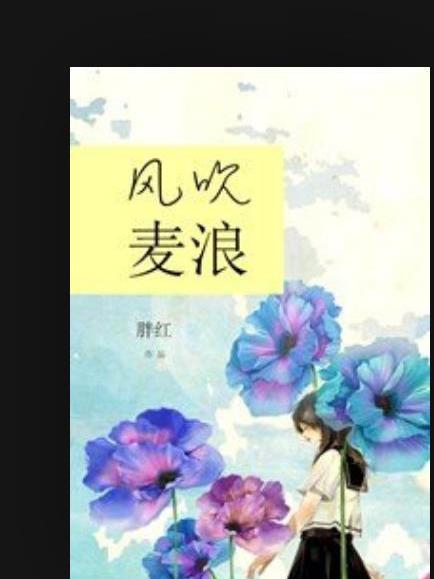 風吹麥浪(胖紅所著小說) 風吹麥浪(胖紅所著小說)