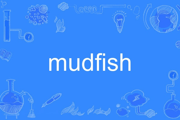 mudfish mudfish