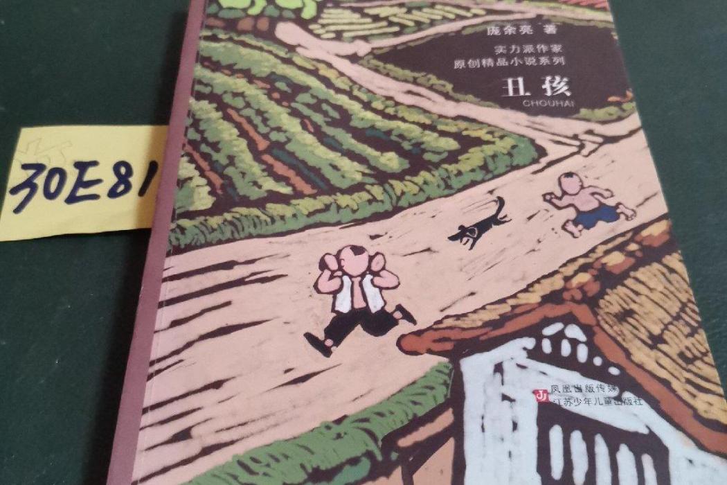 醜孩(2008年江蘇少年兒童出版社出版的圖書) 醜孩(2008年江蘇少年兒童出版社出版的圖書)