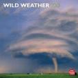 WILD WEATHER 2013 WALL