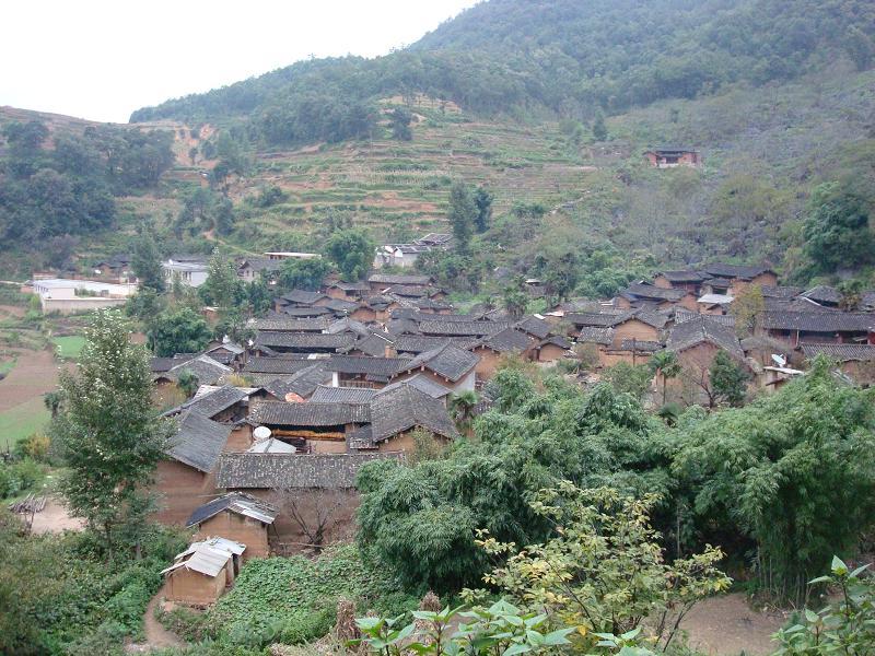 德善村