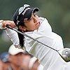 宮裡藍 宮裡藍