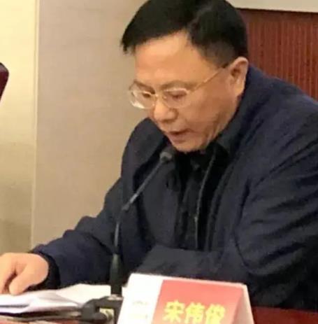 宋偉俊 宋偉俊
