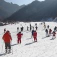 灃峪莊園滑雪場