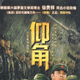 仰角(軍旅題材電視劇)