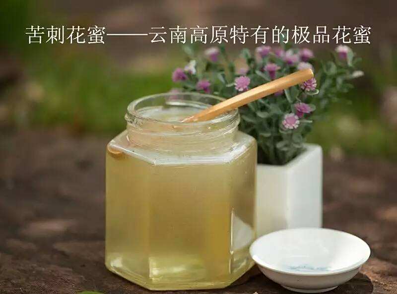 苦刺花蜜 苦刺花蜜