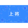 上將(上將軍銜) 上將(上將軍銜)