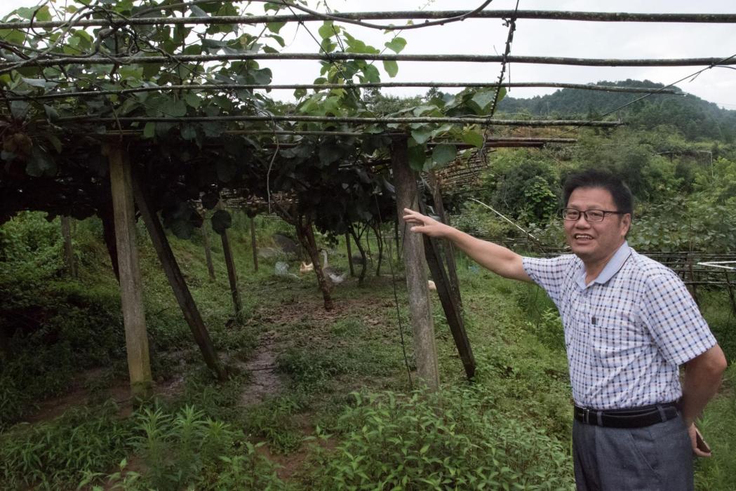 梁紅(仲愷農業工程學院教師) 梁紅(仲愷農業工程學院教師)