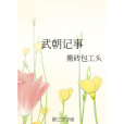 武朝記事 武朝記事