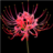 Manjusaka Free Live Wallpaper Manjusaka Free Live Wallpaper