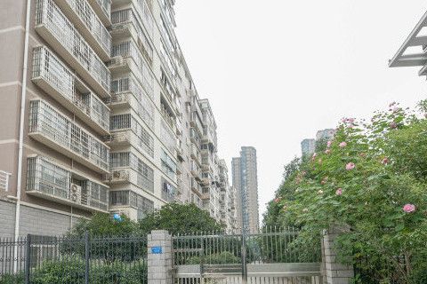 金星佳苑 金星佳苑