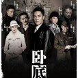 臥底(2015年傅程鵬主演電視劇)