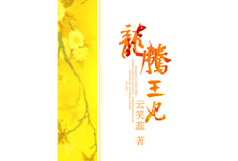 龍騰王妃 龍騰王妃