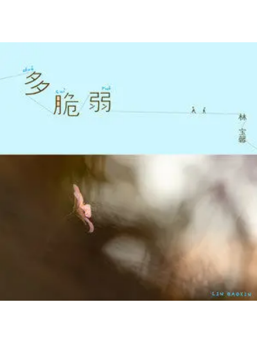 多脆弱 多脆弱