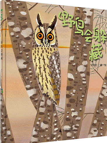 野鳥會躲藏 野鳥會躲藏