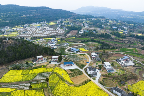 岫雲村 岫雲村