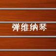 彈維納琴 彈維納琴