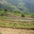 小它白村 小它白村