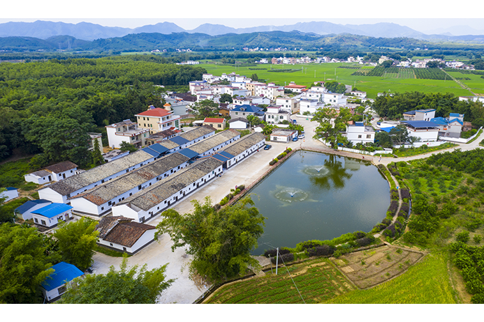 新龍村(廣東省韶關市仁化縣董塘鎮下轄村) 新龍村(廣東省韶關市仁化縣董塘鎮下轄村)