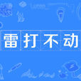 雷打不動 雷打不動
