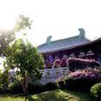 南山寺(廣西區貴港市寺廟) 南山寺(廣西區貴港市寺廟)
