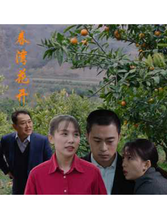 春灣花開 春灣花開