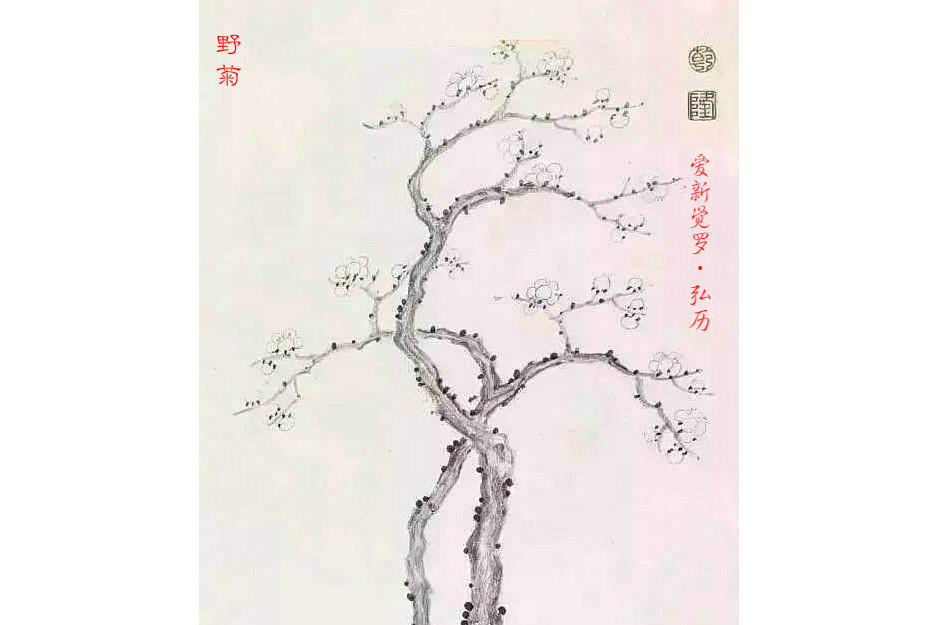 野菊(清朝乾隆皇帝詩作) 野菊(清朝乾隆皇帝詩作)