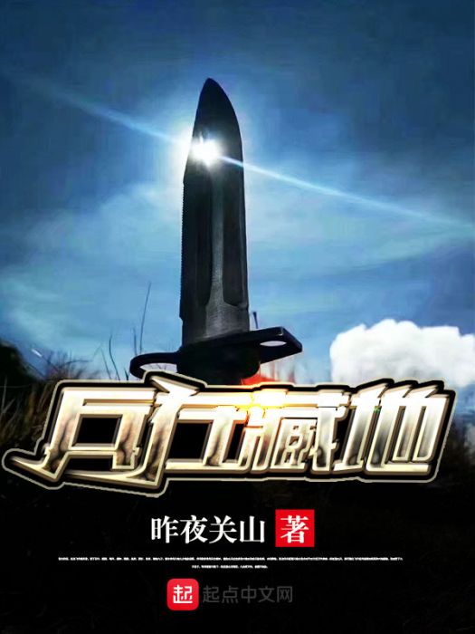 兵在藏地 兵在藏地