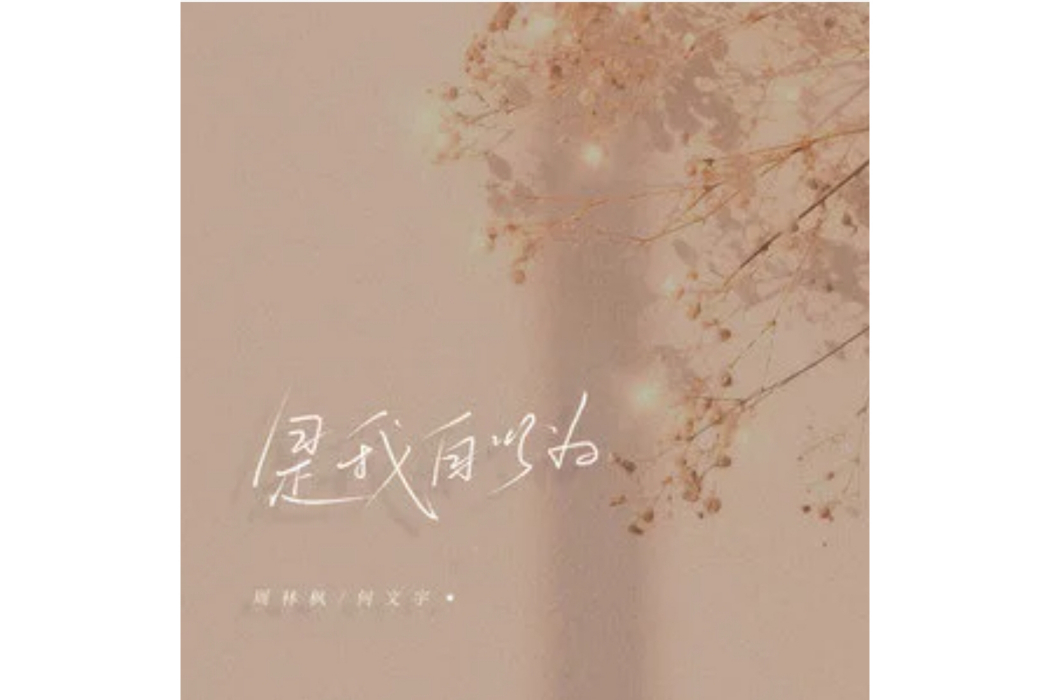 是我自以為 是我自以為