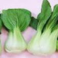 湯匙菜 湯匙菜