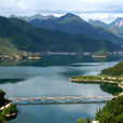 白龍山(浙江省樂清市白龍山)