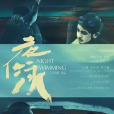 夜泳(賓卡·哲列亞茲科娃執導的電影)