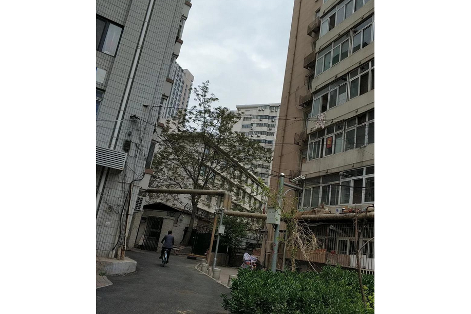 興康里 興康里