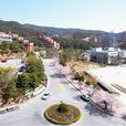 韓國新羅大學 韓國新羅大學