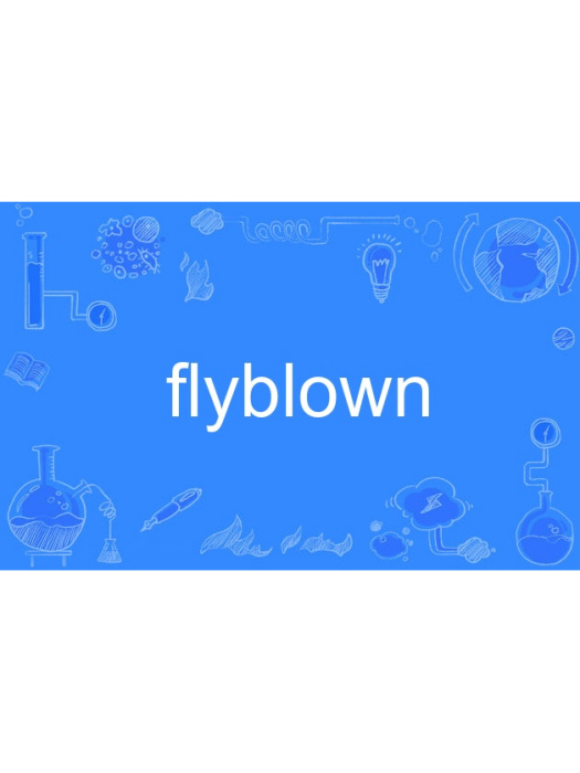 flyblown flyblown