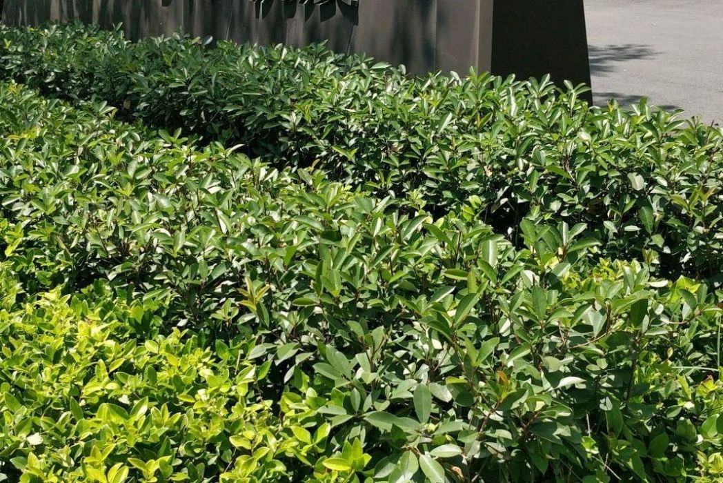 萬科杭宸 萬科杭宸