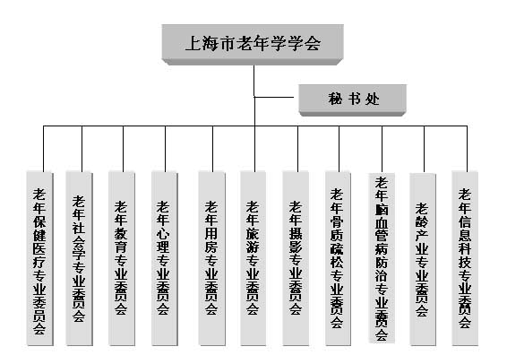 上海市老年學學會組織結構
