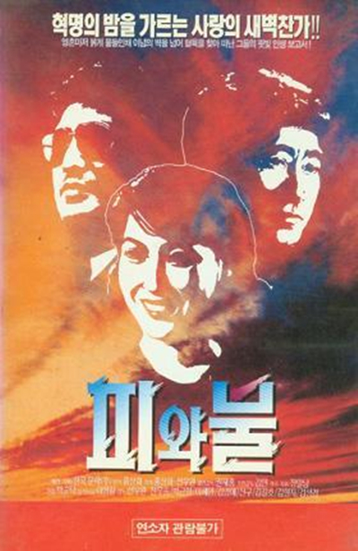 血與火(1991年的韓國電影)