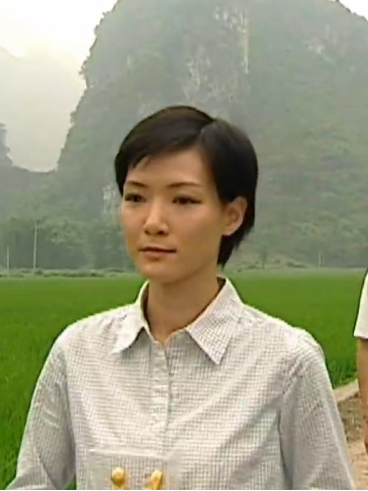 賀琳(時裝醫療電視劇《天涯俠醫》中的角色) 賀琳(時裝醫療電視劇《天涯俠醫》中的角色)