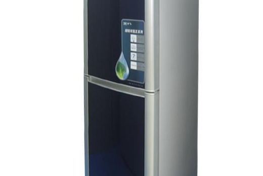 新飛BCD-196GSB 新飛BCD-196GSB