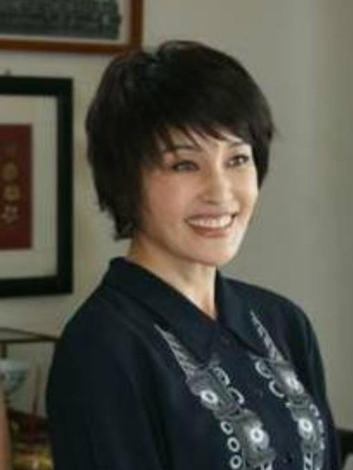 劉劍英(電視劇《養女》中的母親角色) 劉劍英(電視劇《養女》中的母親角色)