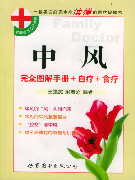 中風(2004年世界圖書出版西安公司出版的圖書) 中風(2004年世界圖書出版西安公司出版的圖書)